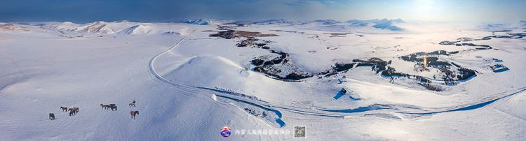 静谧风韵芳菲醉 雪色草原唤岁来