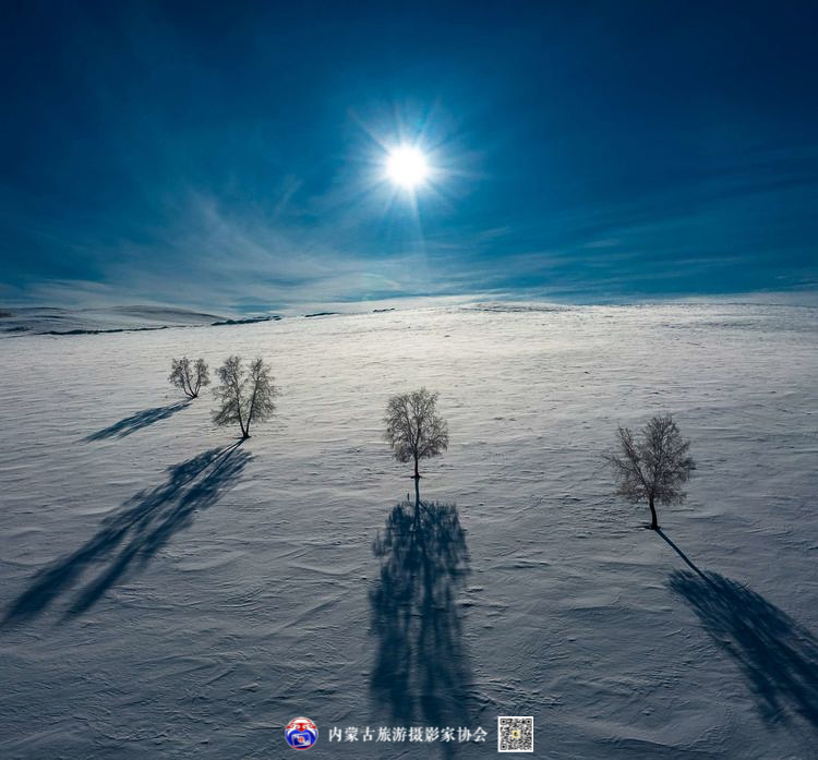 静谧风韵芳菲醉 雪色草原唤岁来