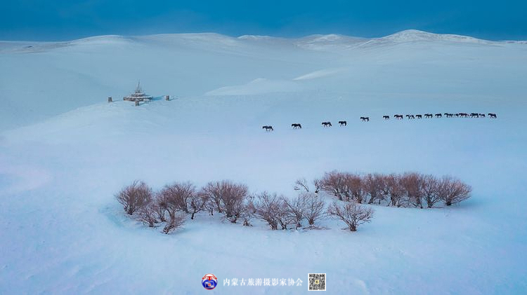 静谧风韵芳菲醉 雪色草原唤岁来