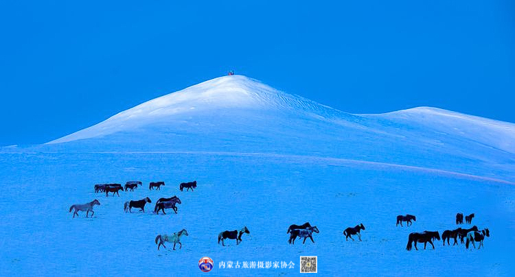 静谧风韵芳菲醉 雪色草原唤岁来