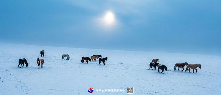 静谧风韵芳菲醉 雪色草原唤岁来