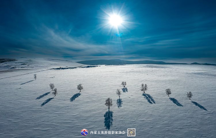 静谧风韵芳菲醉 雪色草原唤岁来