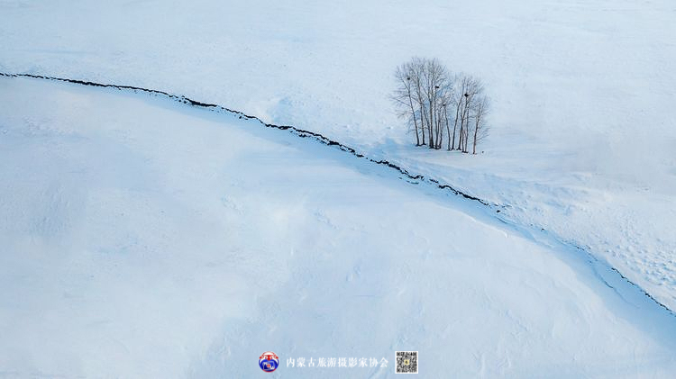 静谧风韵芳菲醉 雪色草原唤岁来