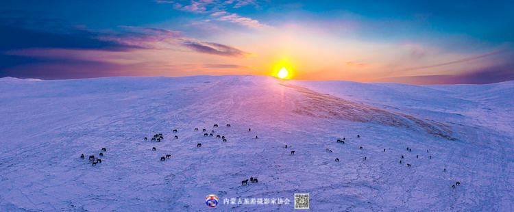 静谧风韵芳菲醉 雪色草原唤岁来