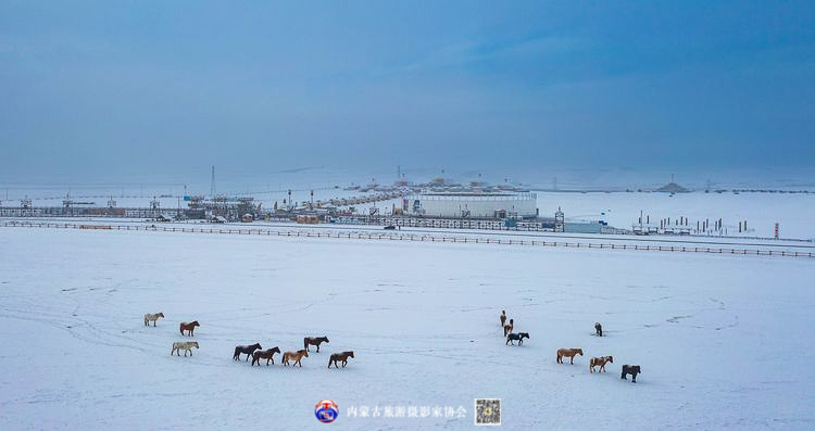 静谧风韵芳菲醉 雪色草原唤岁来