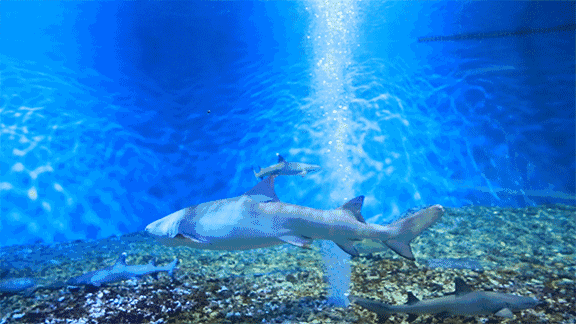 桂林的乐园，是又温柔又童真的“治愈系”存在 | 春节在广西怎么玩