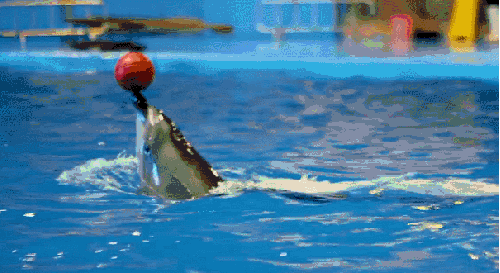 桂林的乐园，是又温柔又童真的“治愈系”存在 | 春节在广西怎么玩