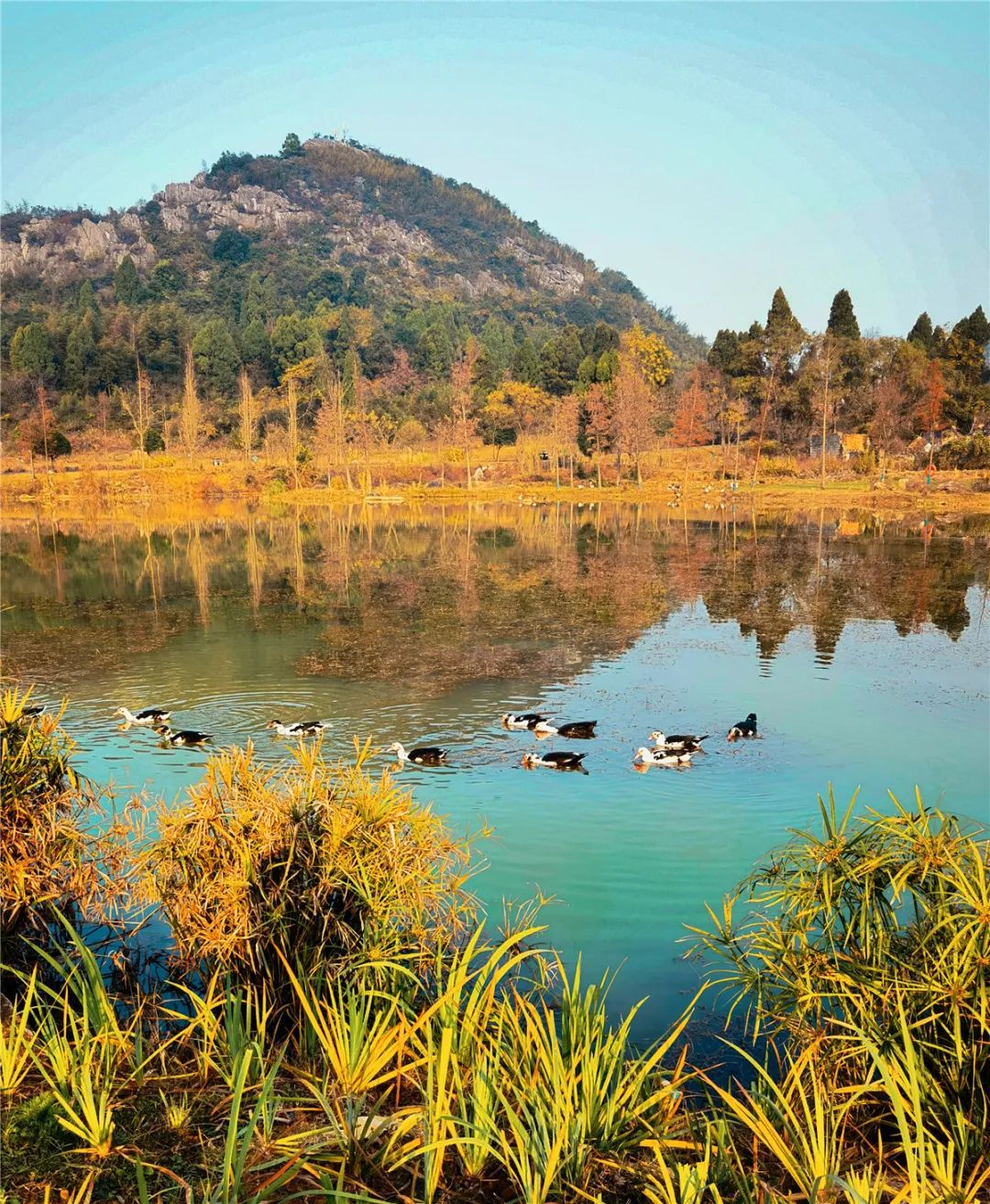 桂林的乐园，是又温柔又童真的“治愈系”存在 | 春节在广西怎么玩