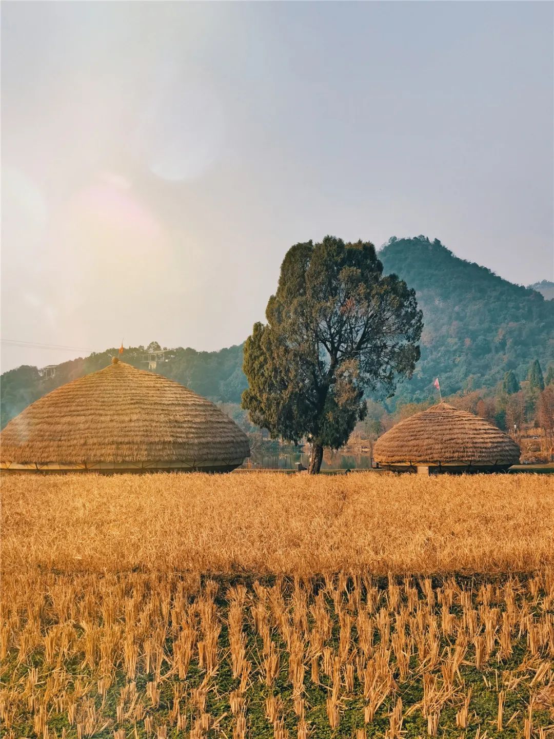 桂林的乐园，是又温柔又童真的“治愈系”存在 | 春节在广西怎么玩