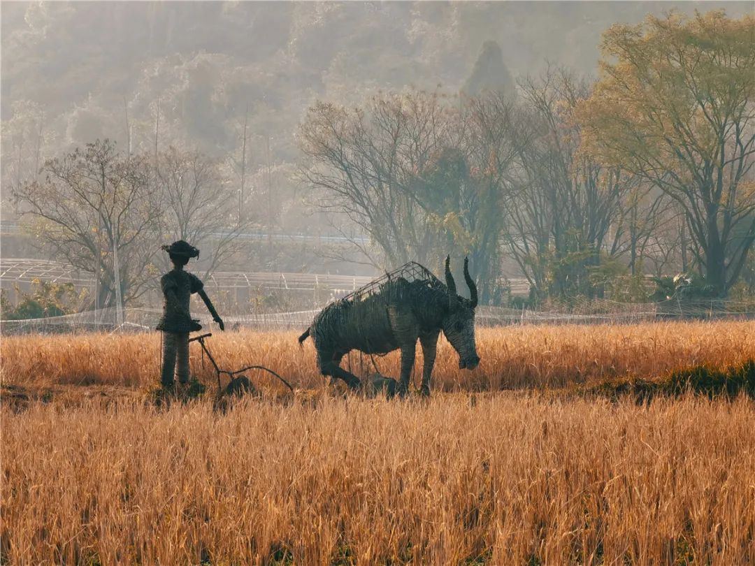 桂林的乐园，是又温柔又童真的“治愈系”存在 | 春节在广西怎么玩