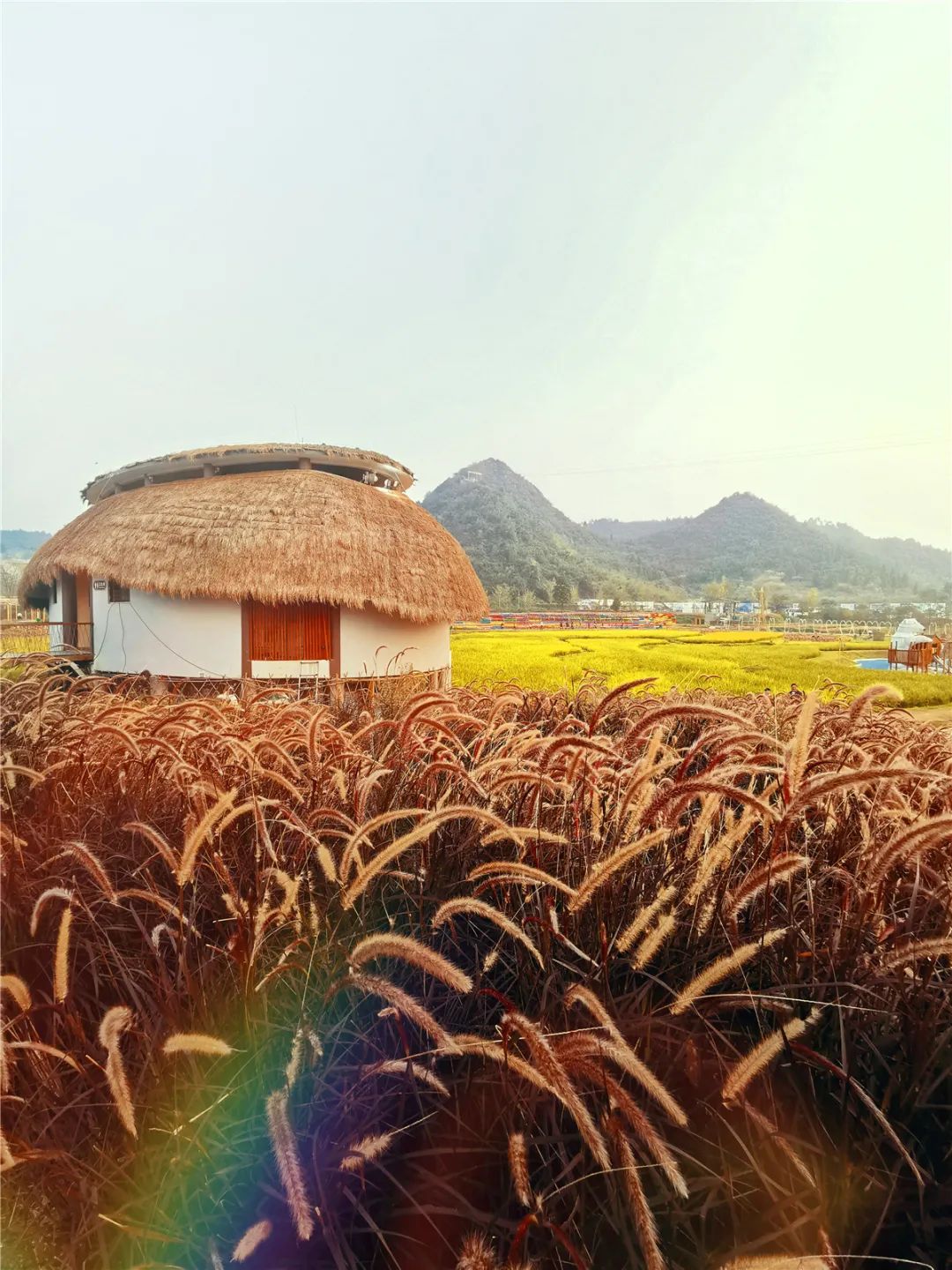 桂林的乐园，是又温柔又童真的“治愈系”存在 | 春节在广西怎么玩