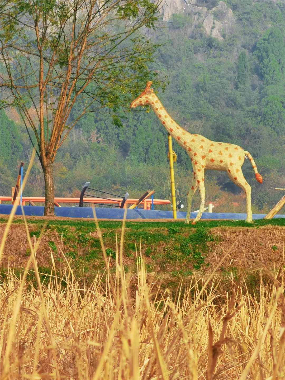 桂林的乐园，是又温柔又童真的“治愈系”存在 | 春节在广西怎么玩