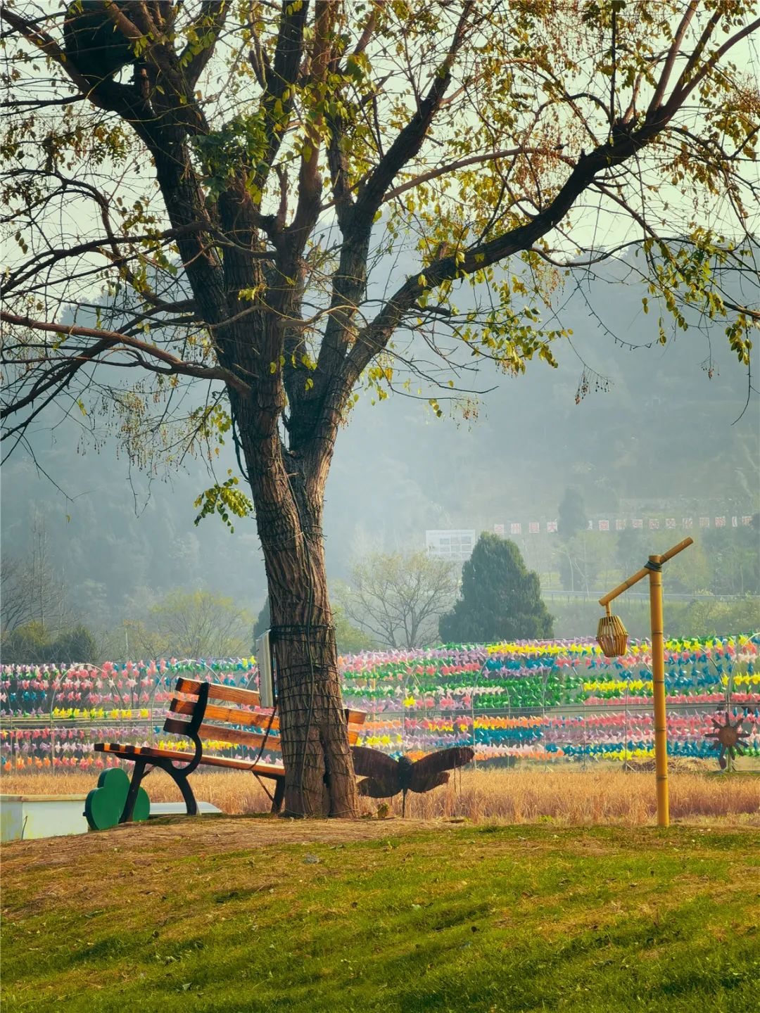 桂林的乐园，是又温柔又童真的“治愈系”存在 | 春节在广西怎么玩