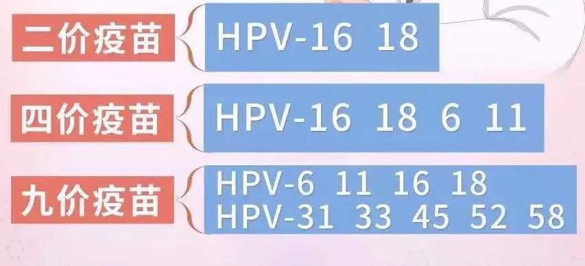@集美女生，这个疫苗免费接种开始啦！速来预约