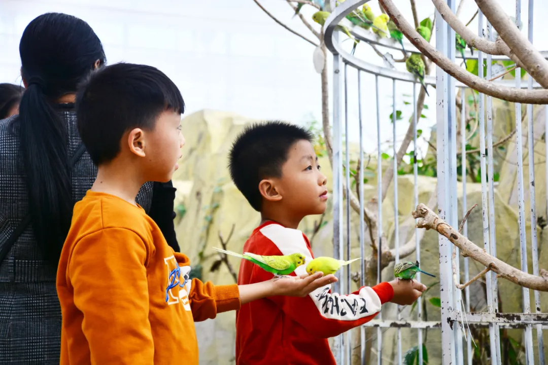 远离回南天，这里给你“欧陆风光”特有的清爽 | 春节在广西怎么玩