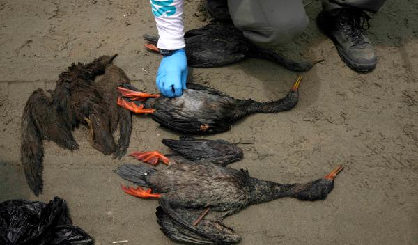 �˹����ڿ������ģ������� ׼������Ϯ��