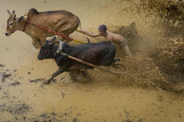 �˹����ڿ������ģ������� ׼������Ϯ��