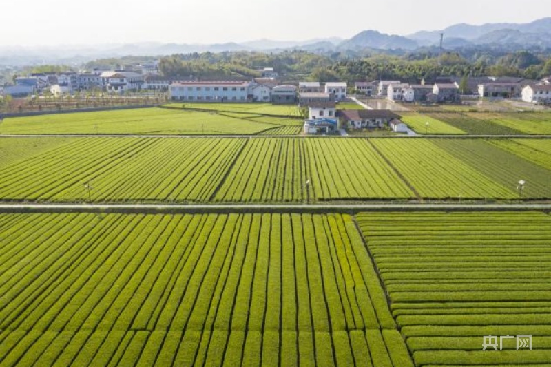 湖南：长链善舞构筑国之重器高地 对标一流通江达海抢滩五洲