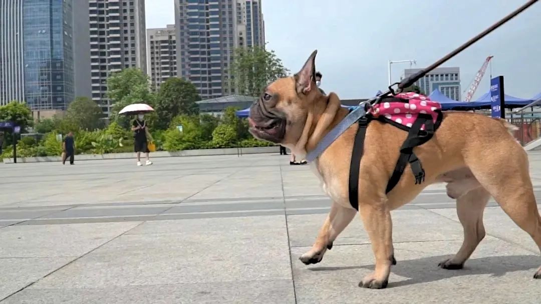 坐火車，行李超限了怎么辦？