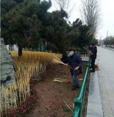 镇平：广场换装迎新年 霓虹闪耀贺新春