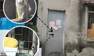 安心！南宁上万名的哥、的姐接受核酸检测