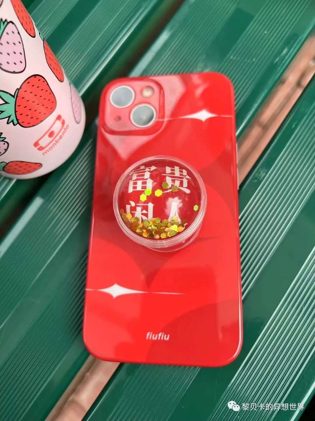 贝壳是什么样子的说一说（如果找到了喜欢的贝壳）