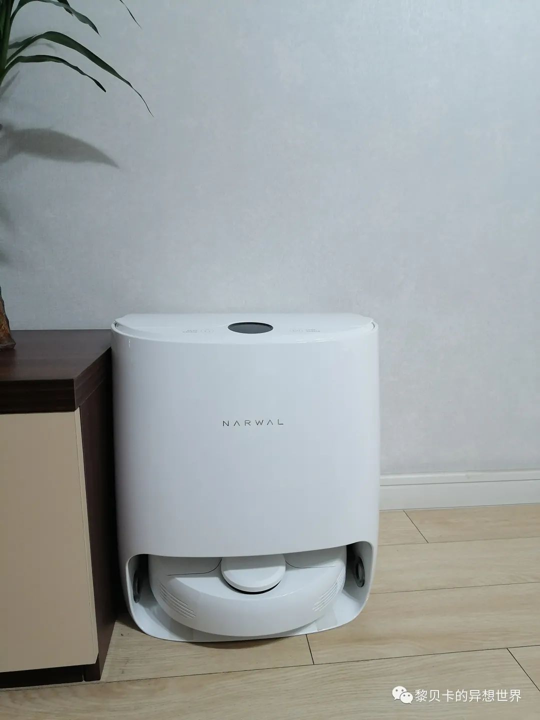 贝壳是什么样子的说一说（如果找到了喜欢的贝壳）