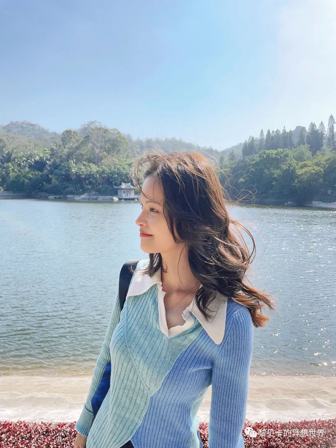 贝壳是什么样子的说一说（如果找到了喜欢的贝壳）