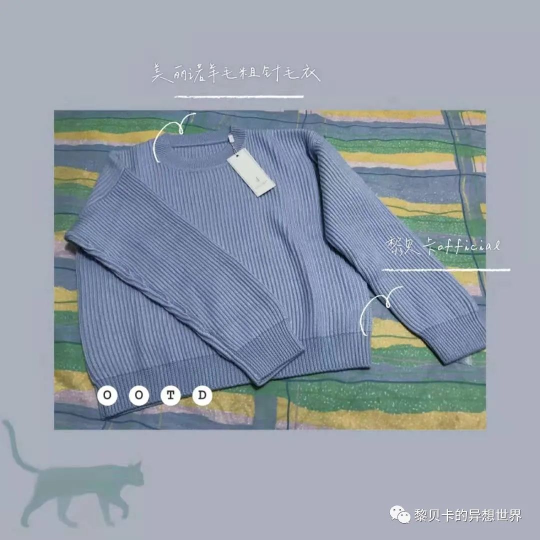 贝壳是什么样子的说一说（如果找到了喜欢的贝壳）