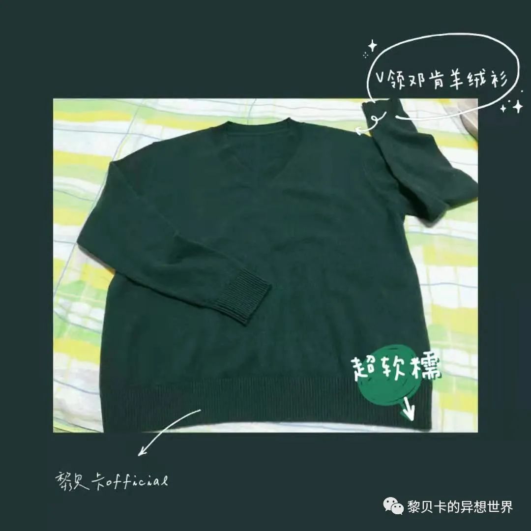 贝壳是什么样子的说一说（如果找到了喜欢的贝壳）