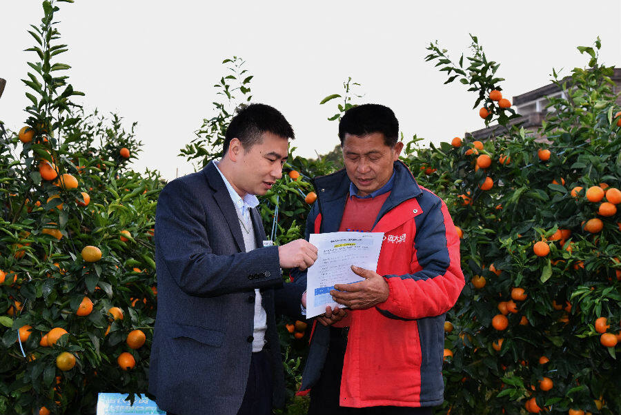 农行广西贺州八桂支行：上门服务为农户定制信贷融资方案