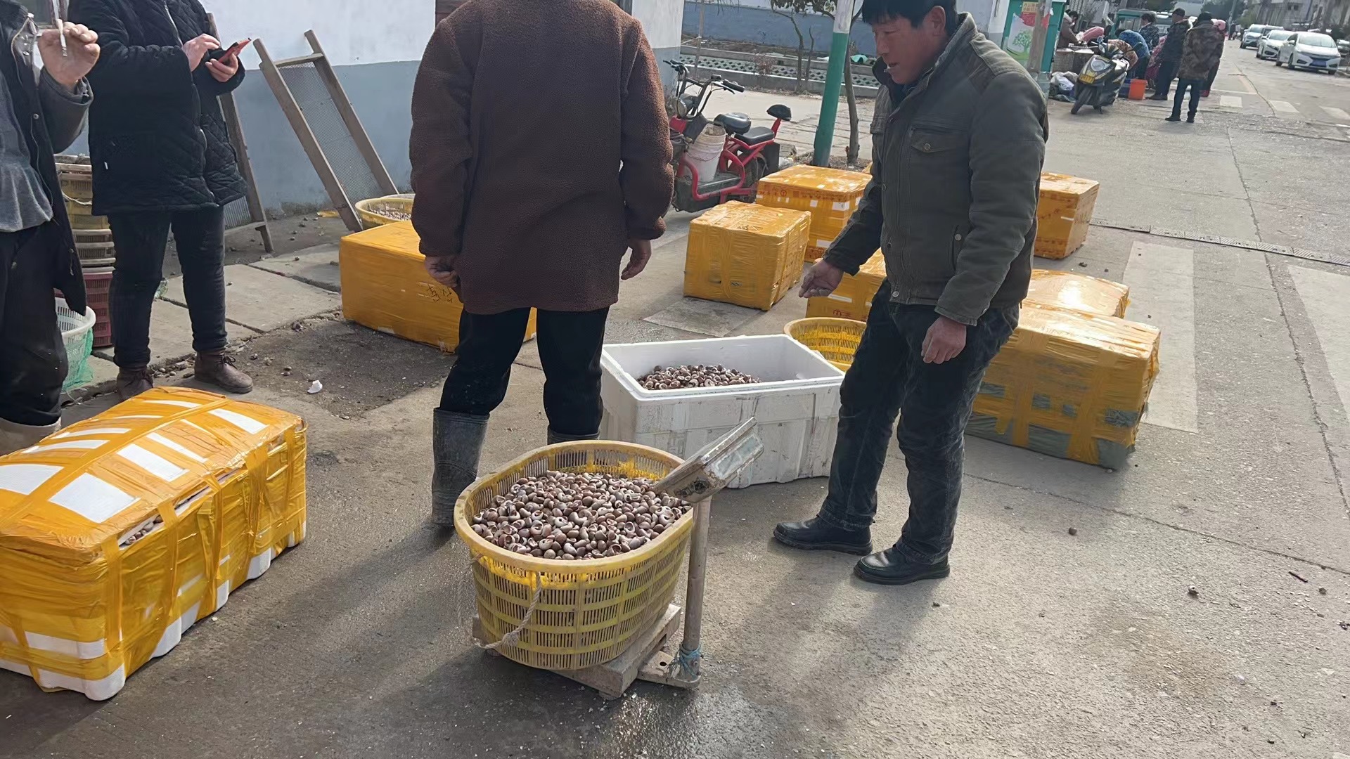 滨海小镇一年带货65亿，靠海吃海吃出新方法
