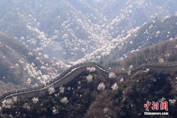 奥运会火炬传递中国有哪些城市(途经长城、颐和园，火炬传递开启！这些亮点你get了吗？)