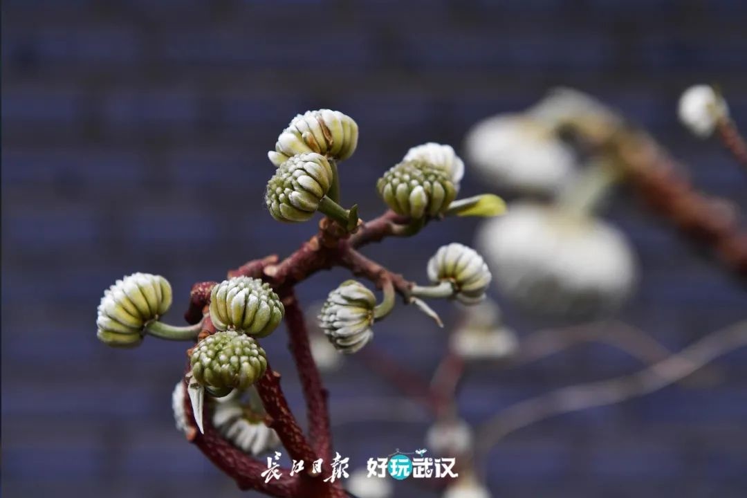 今日立春，轻风拂面，不负春光｜城市摄影队