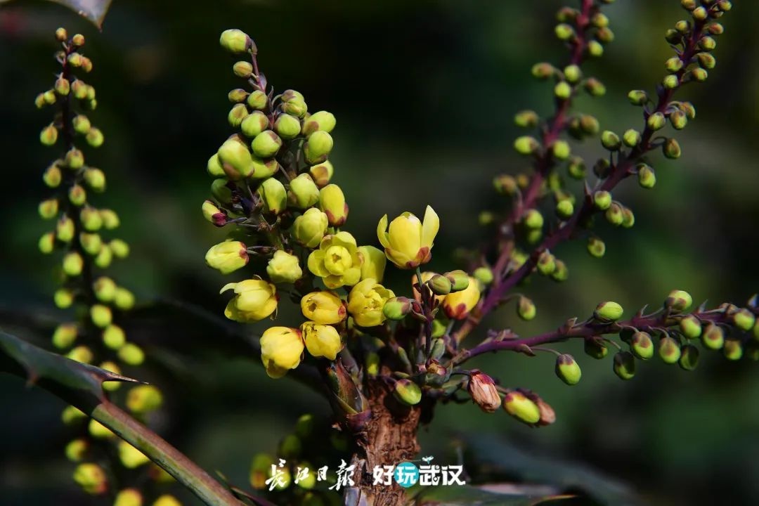 今日立春，轻风拂面，不负春光｜城市摄影队