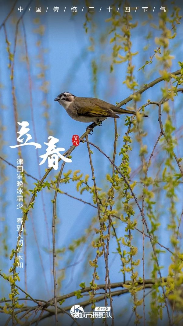 今日立春，轻风拂面，不负春光｜城市摄影队