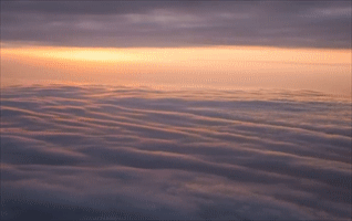 玩转天府旅游名品 | “猴”有趣！令人难忘的峨眉记忆