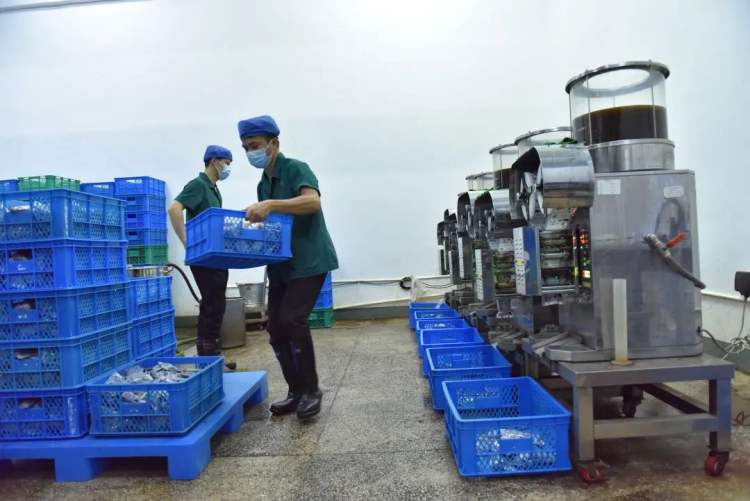 应对奥密克戎，中医防疫再献良方｜广西中医药大学第一附属医院推出“泻白清瘟饮”