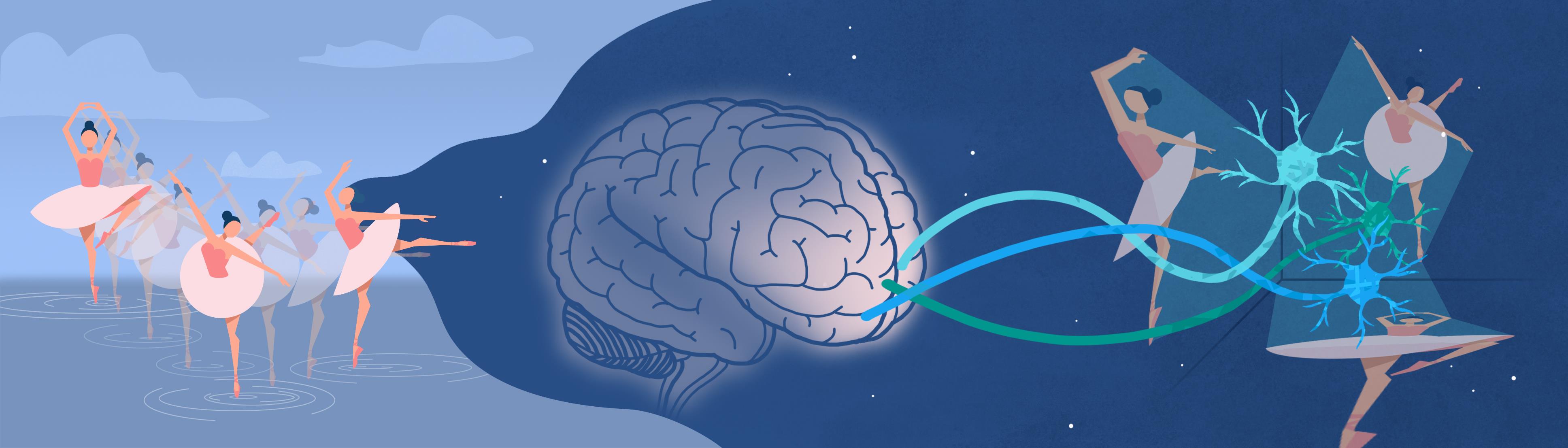 �ҹ���ѧ���״ν�ʾ��ʱ�ա�������⨺�����б����ļ��νṹ