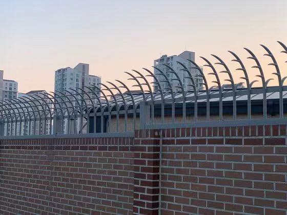 朴槿惠将回家乡养老 25亿韩元别墅曝光：带电梯 围墙10米高