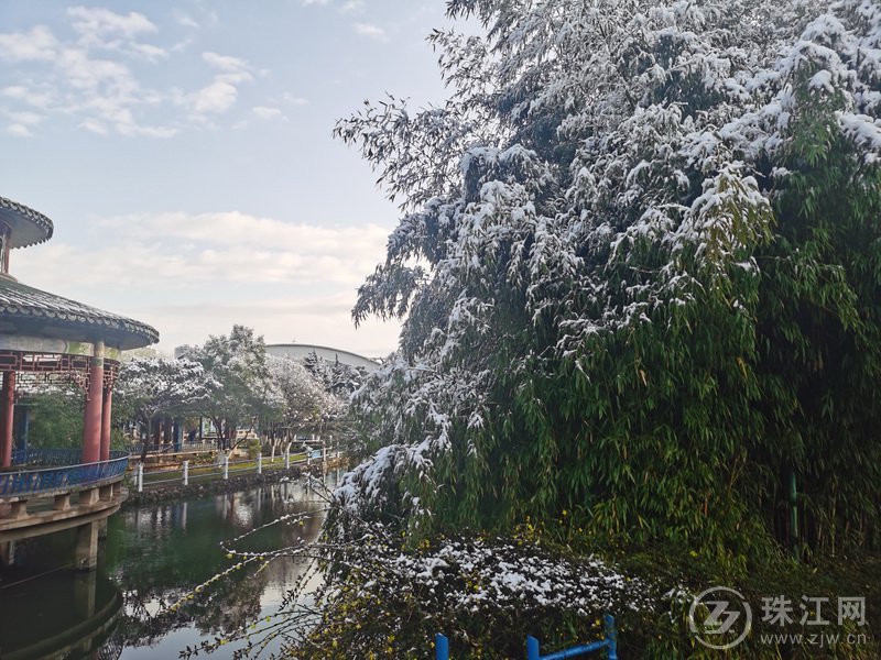 雪后的宛水公园美如童话的世界