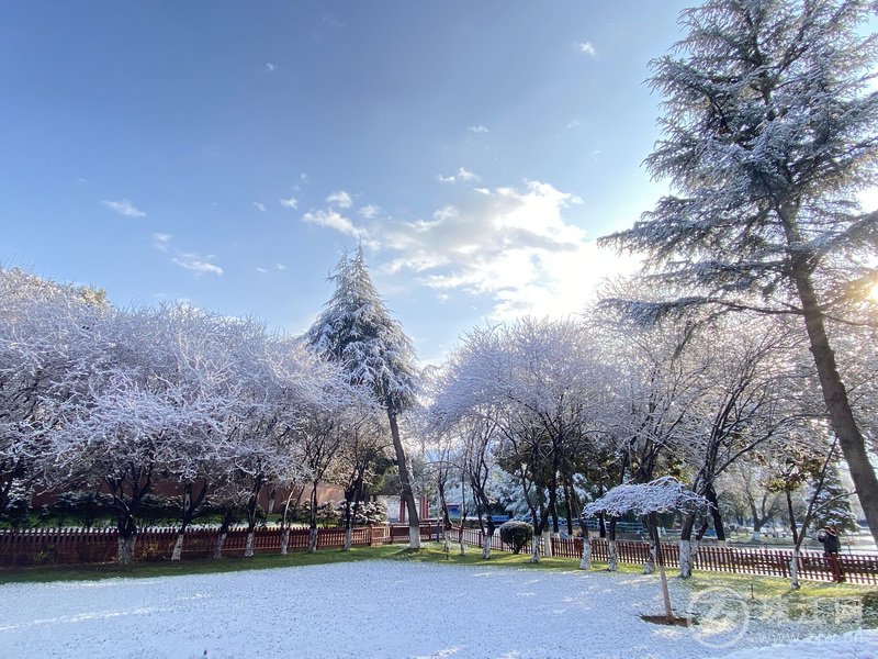 雪后的宛水公园美如童话的世界