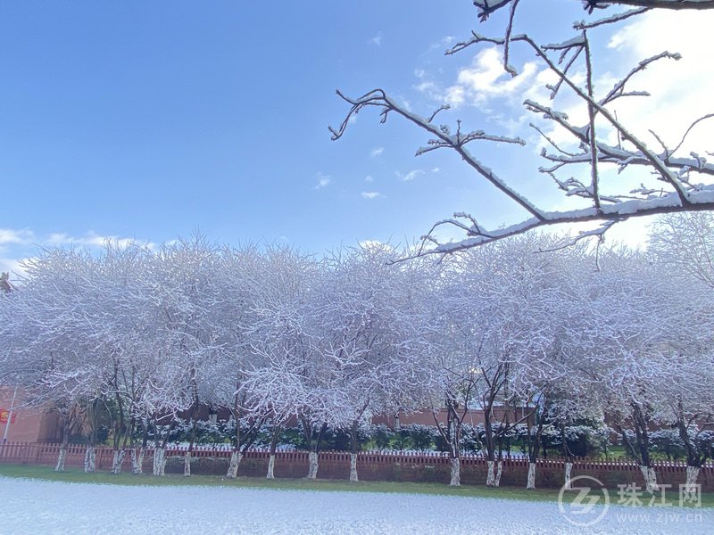 雪后的宛水公园美如童话的世界