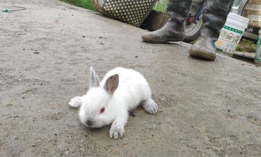 “冰墩墩”“雪容融”来袭，广西这六座加油站可以买到