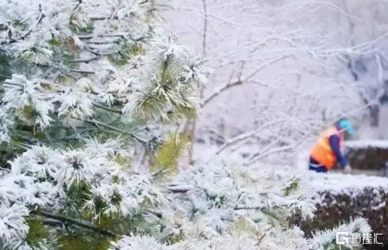 情人节还有多少钱（今年的情人节）