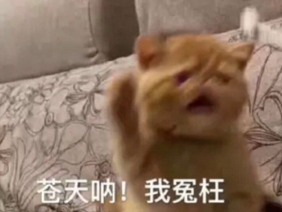 经常腿肿、周身酸痛，女性易中招！原因和改善方法都在这！