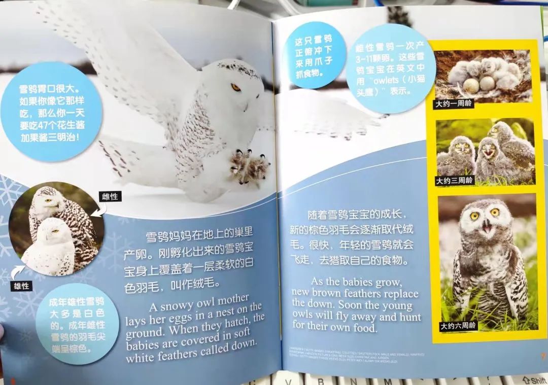 给孩子有意义的开学礼物