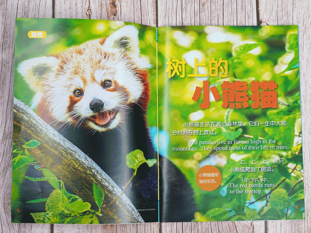 给孩子有意义的开学礼物