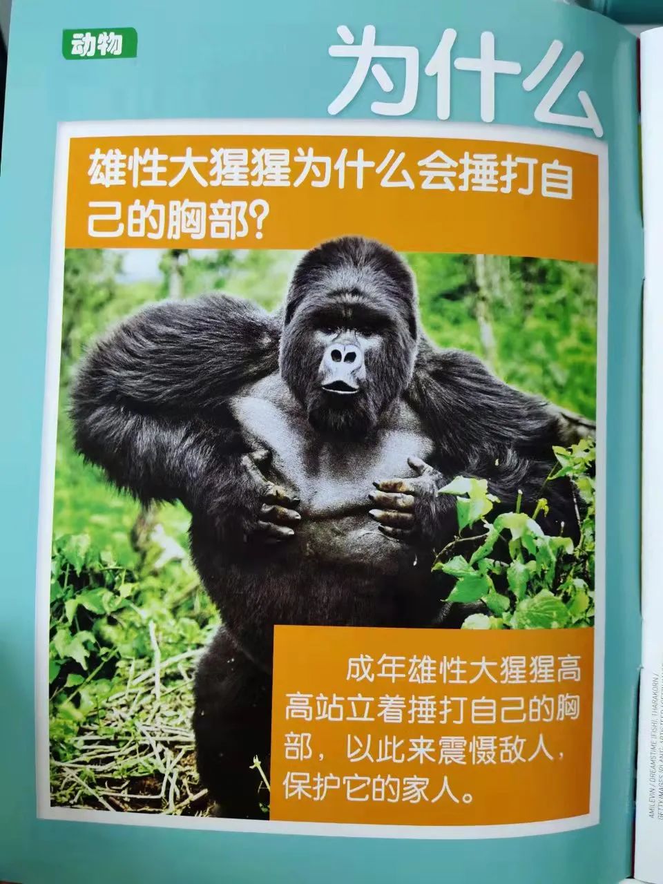 给孩子有意义的开学礼物