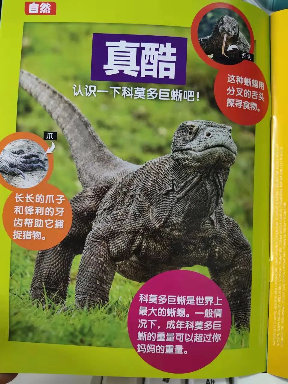 给孩子有意义的开学礼物